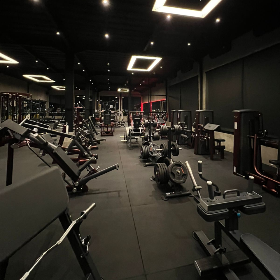 Monthly Alpha Gym Access