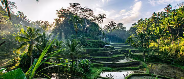 Ubud, Bali