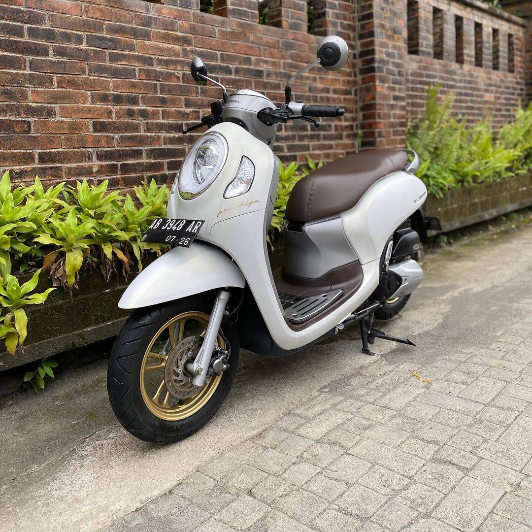 Monthly Scoopy